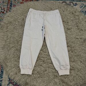 Garnet Hill Pima Cotton Ankle Pants size small